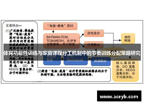 体育功能性训练与家庭课程分工机制中的节奏训练分配策略研究